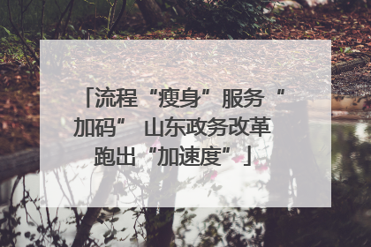 流程“瘦身”服务“加码” 山东政务改革跑出“加速度”