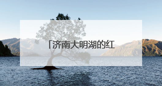 济南大明湖的红尾伯劳登枝高歌