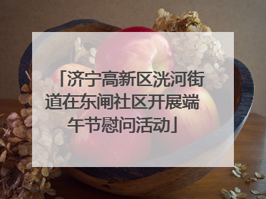 济宁高新区洸河街道在东闸社区开展端午节慰问活动
