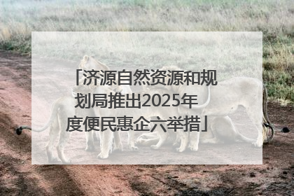 济源自然资源和规划局推出2025年度便民惠企六举措