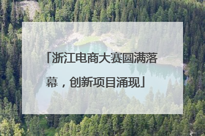 浙江电商大赛圆满落幕，创新项目涌现