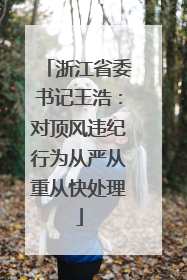 浙江省委书记王浩：对顶风违纪行为从严从重从快处理