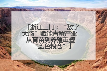 浙江三门：“数字大脑”赋能青蟹产业 从育苗到养殖重塑“蓝色粮仓”