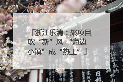 浙江乐清：聚项目吹“新”风 “海边小镇”成“热土”