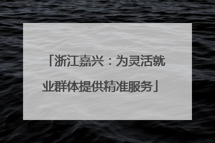 浙江嘉兴：为灵活就业群体提供精准服务