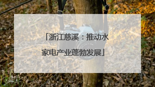 浙江慈溪：推动水家电产业蓬勃发展