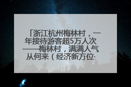 浙江杭州梅林村，一年接待游客超5万人次——梅林村，满满人气从何来（经济新方位·农村消费观察）