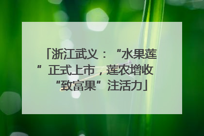 浙江武义：“水果莲”正式上市，莲农增收“致富果”注活力