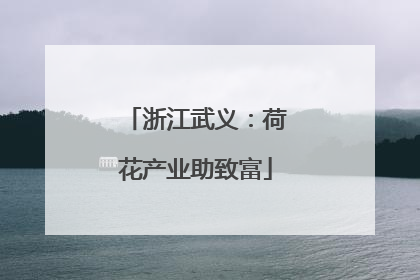 浙江武义：荷花产业助致富
