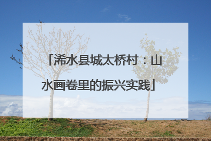 浠水县城太桥村：山水画卷里的振兴实践