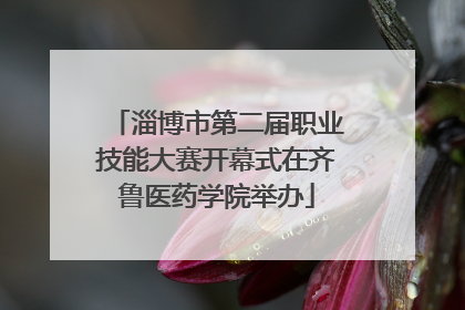 淄博市第二届职业技能大赛开幕式在齐鲁医药学院举办