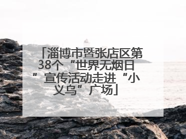 淄博市暨张店区第38个“世界无烟日”宣传活动走进“小义乌”广场