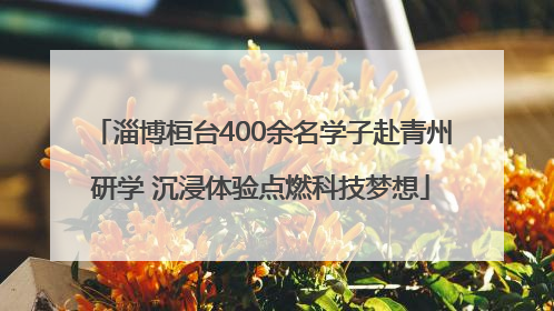 淄博桓台400余名学子赴青州研学 沉浸体验点燃科技梦想