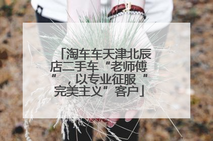 淘车车天津北辰店二手车“老师傅”，以专业征服“完美主义”客户