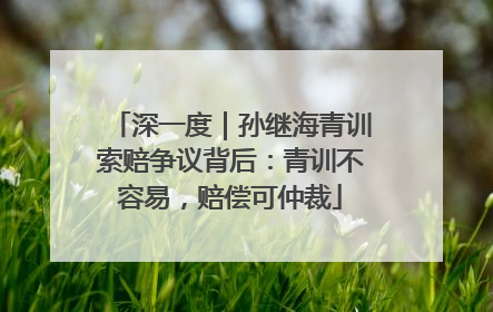 深一度｜孙继海青训索赔争议背后：青训不容易，赔偿可仲裁