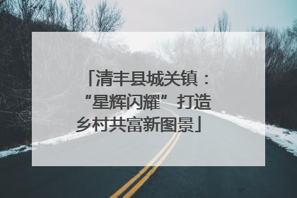 清丰县城关镇：“星辉闪耀”打造乡村共富新图景