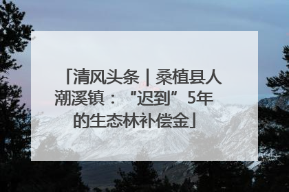 清风头条｜桑植县人潮溪镇：“迟到”5年的生态林补偿金