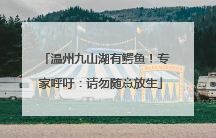温州九山湖有鳄鱼！专家呼吁：请勿随意放生