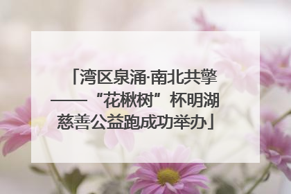 湾区泉涌·南北共擎——“花楸树”杯明湖慈善公益跑成功举办