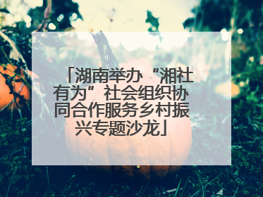 湖南举办“湘社有为”社会组织协同合作服务乡村振兴专题沙龙