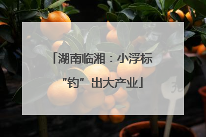 湖南临湘：小浮标“钓”出大产业