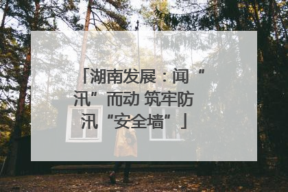 湖南发展：闻“汛”而动 筑牢防汛“安全墙”