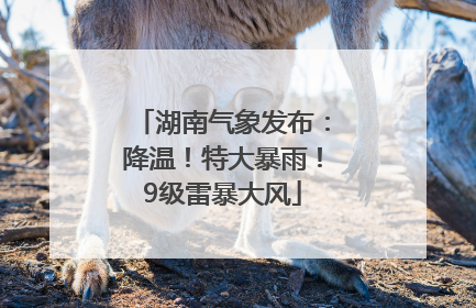 湖南气象发布：降温！特大暴雨！9级雷暴大风