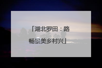 湖北罗田：路畅景美乡村兴