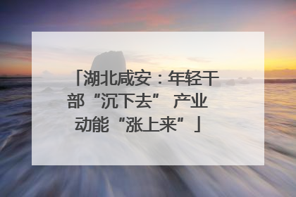 湖北咸安：年轻干部“沉下去” 产业动能“涨上来”