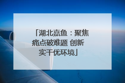 湖北嘉鱼：聚焦痛点破难题 创新实干优环境