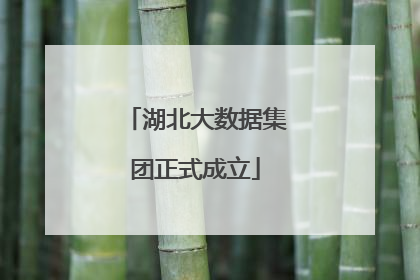 湖北大数据集团正式成立