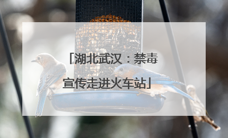 湖北武汉：禁毒宣传走进火车站