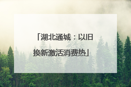 湖北通城：以旧换新激活消费热