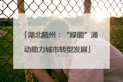 湖北随州：“绿能”涌动助力城市转型发展