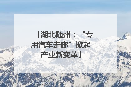 湖北随州：“专用汽车走廊”掀起产业新变革