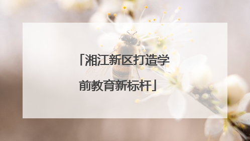 湘江新区打造学前教育新标杆