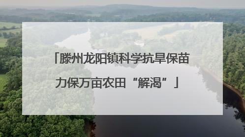 滕州龙阳镇科学抗旱保苗 力保万亩农田“解渴”
