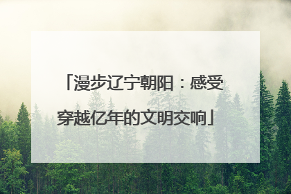 漫步辽宁朝阳：感受穿越亿年的文明交响
