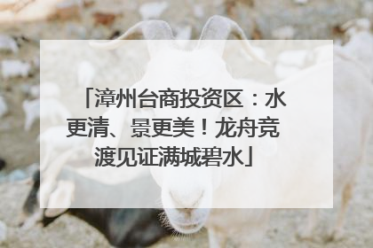 漳州台商投资区：水更清、景更美！龙舟竞渡见证满城碧水