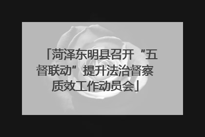 菏泽东明县召开“五督联动”提升法治督察质效工作动员会
