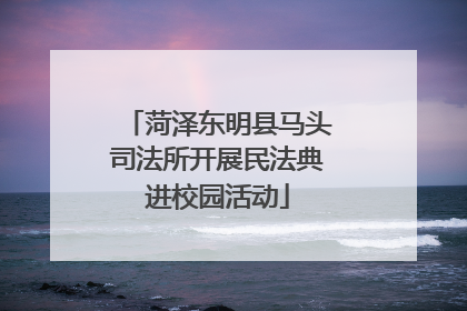菏泽东明县马头司法所开展民法典进校园活动
