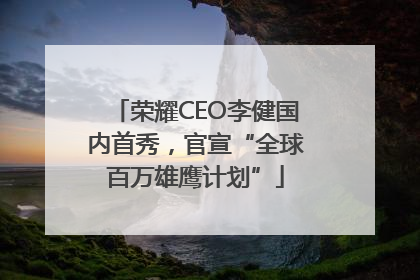 荣耀CEO李健国内首秀，官宣“全球百万雄鹰计划”