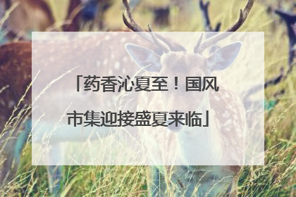 药香沁夏至！国风市集迎接盛夏来临
