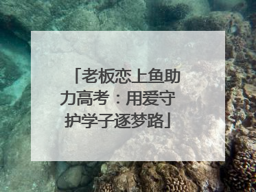 老板恋上鱼助力高考：用爱守护学子逐梦路