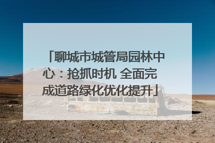 聊城市城管局园林中心：抢抓时机 全面完成道路绿化优化提升