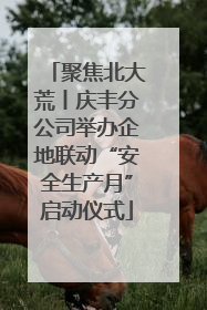 聚焦北大荒丨庆丰分公司举办企地联动“安全生产月”启动仪式