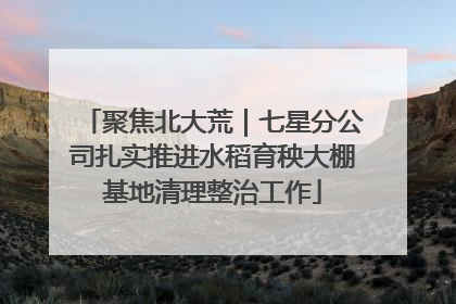 聚焦北大荒｜七星分公司扎实推进水稻育秧大棚基地清理整治工作