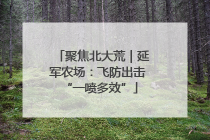 聚焦北大荒｜延军农场：飞防出击 “一喷多效”