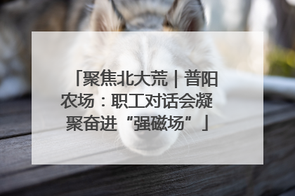 聚焦北大荒｜普阳农场：职工对话会凝聚奋进“强磁场”
