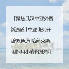 聚焦武汉中亚外贸新通道│中亚班列开辟双通道 哈萨克斯坦饲用小麦将抵鄂